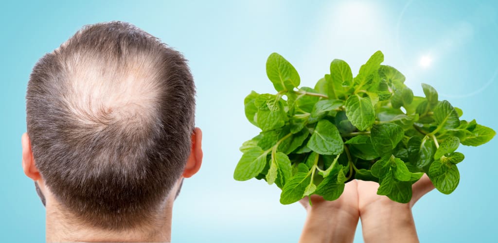 Benefits Of Spearmint For Hair and Scalp