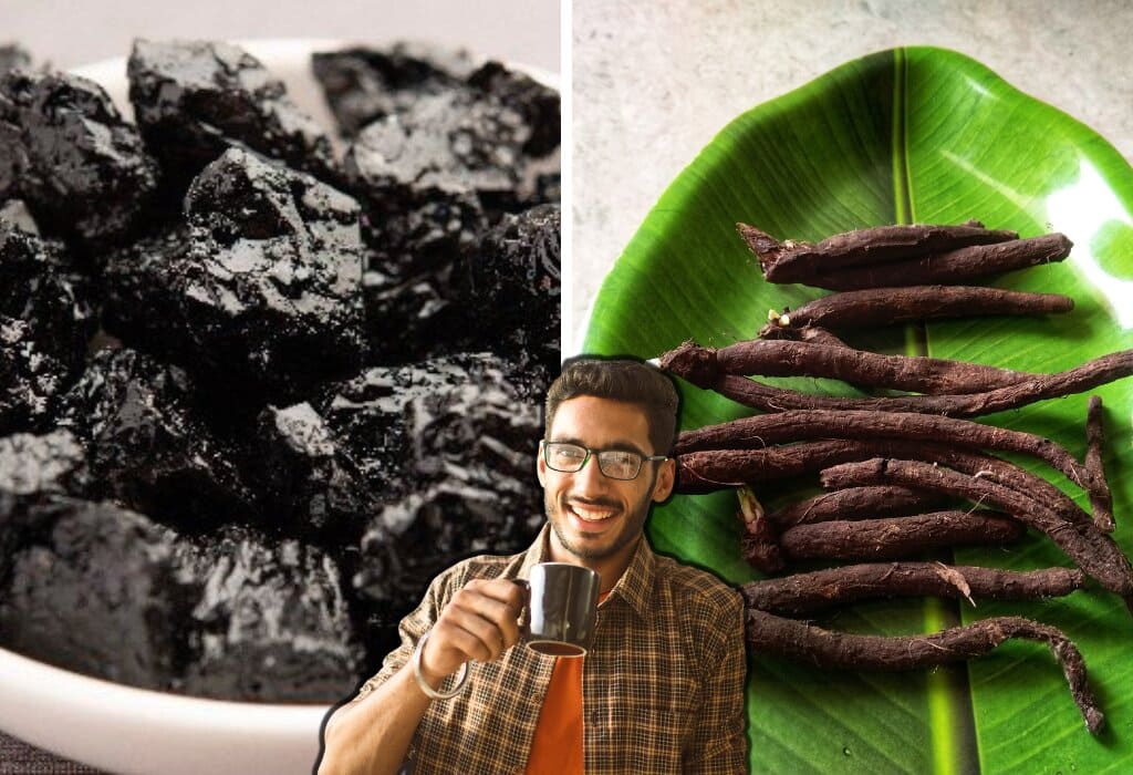 Can You Take Safed Musli And Shilajit Together