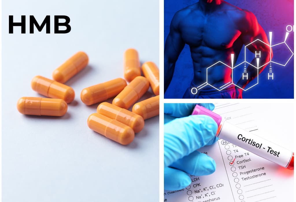 Does HMB Increase Testosterone?