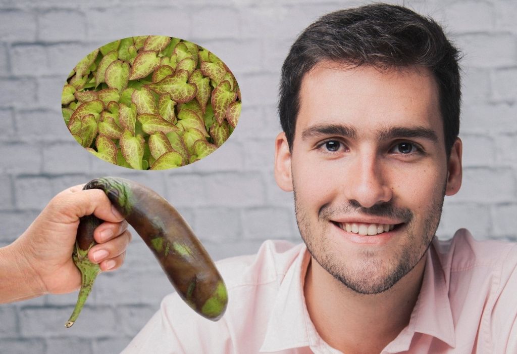 Does Horny Goat Weed Help With ED