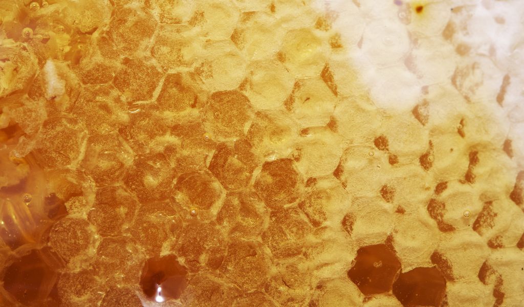 Does Manuka Honey Expire Or Go Bad