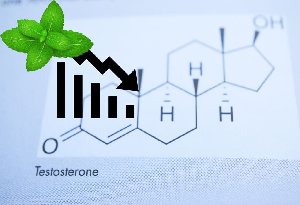 Does Spearmint Lower Testosterone