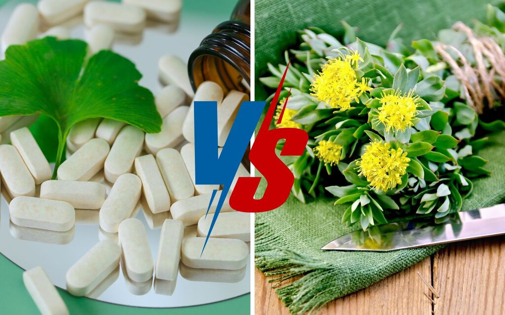 Ginkgo Biloba vs Rhodiola Rosea