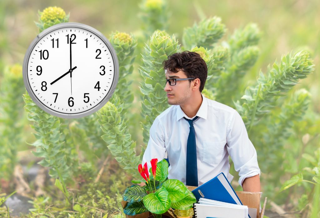 How Long Does Rhodiola Stay In Your System