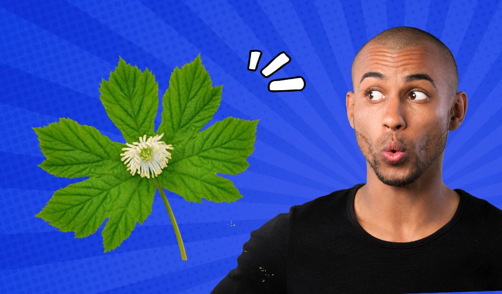 How To Use Goldenseal for Tooth Infection