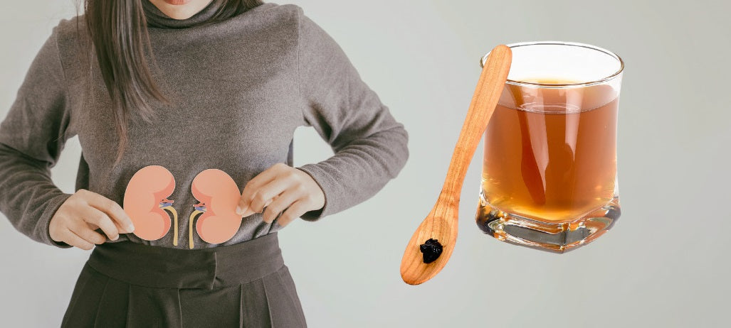 Is Shilajit Bad for Kidneys