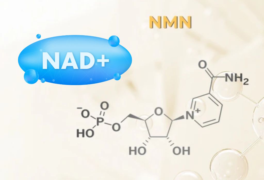 NAD vs NMN