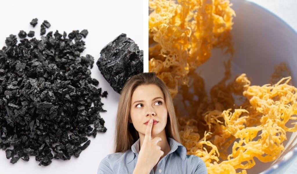 Shilajit Vs Sea Moss