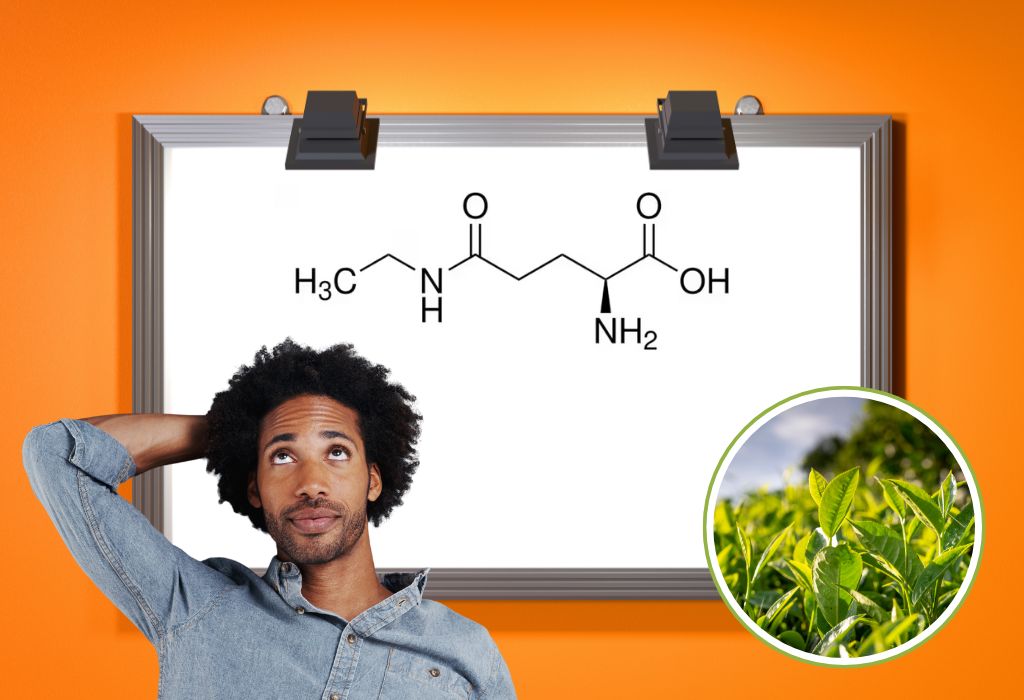 Theanine Vs. L-Theanine