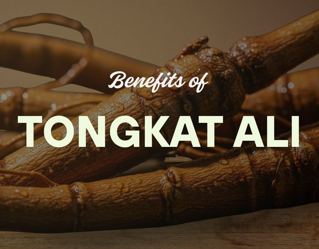 benefits of tongkat ali