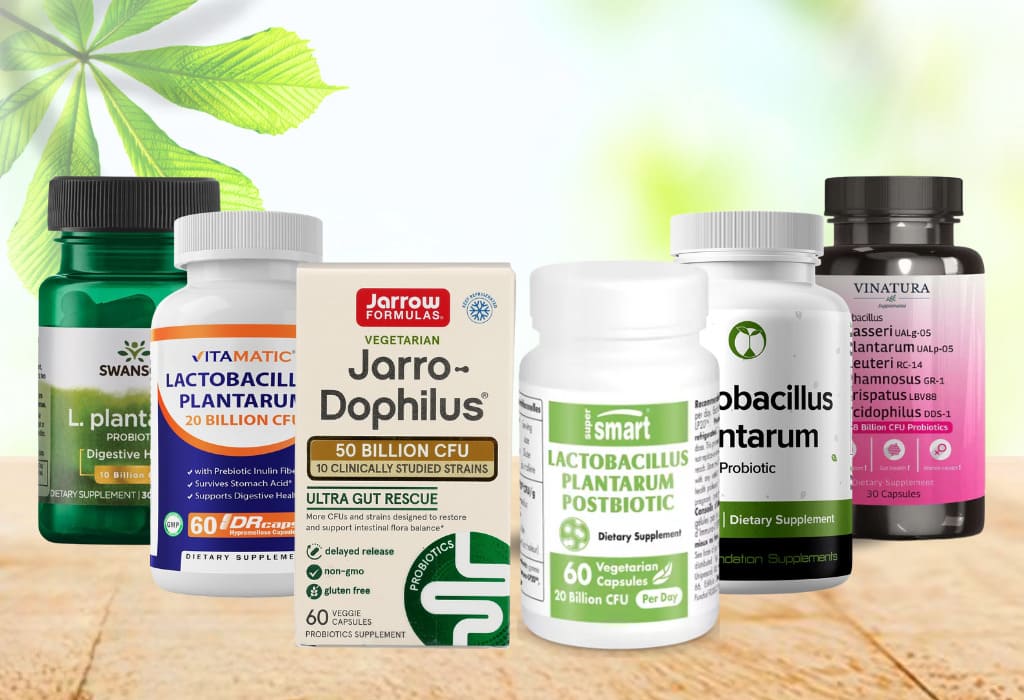 Best Lactobacillus Plantarum Supplements for Digestive Health