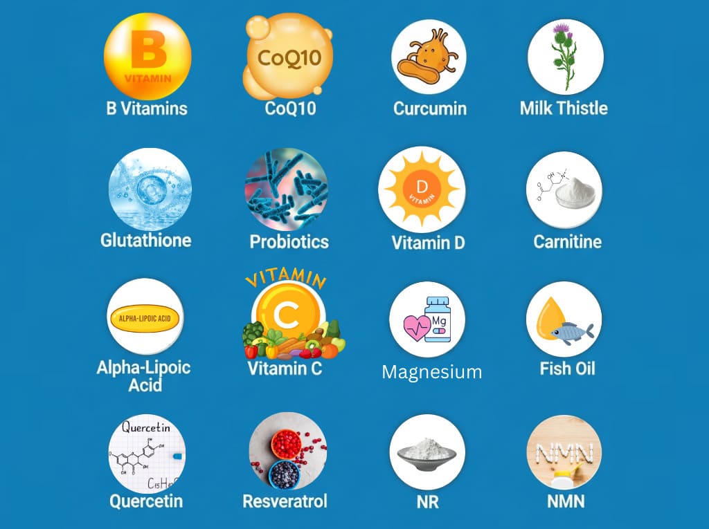 Best Supplements for Cellular Health