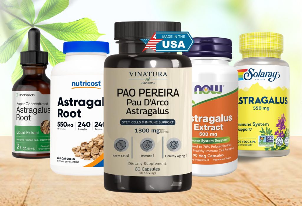 best astragalus supplements