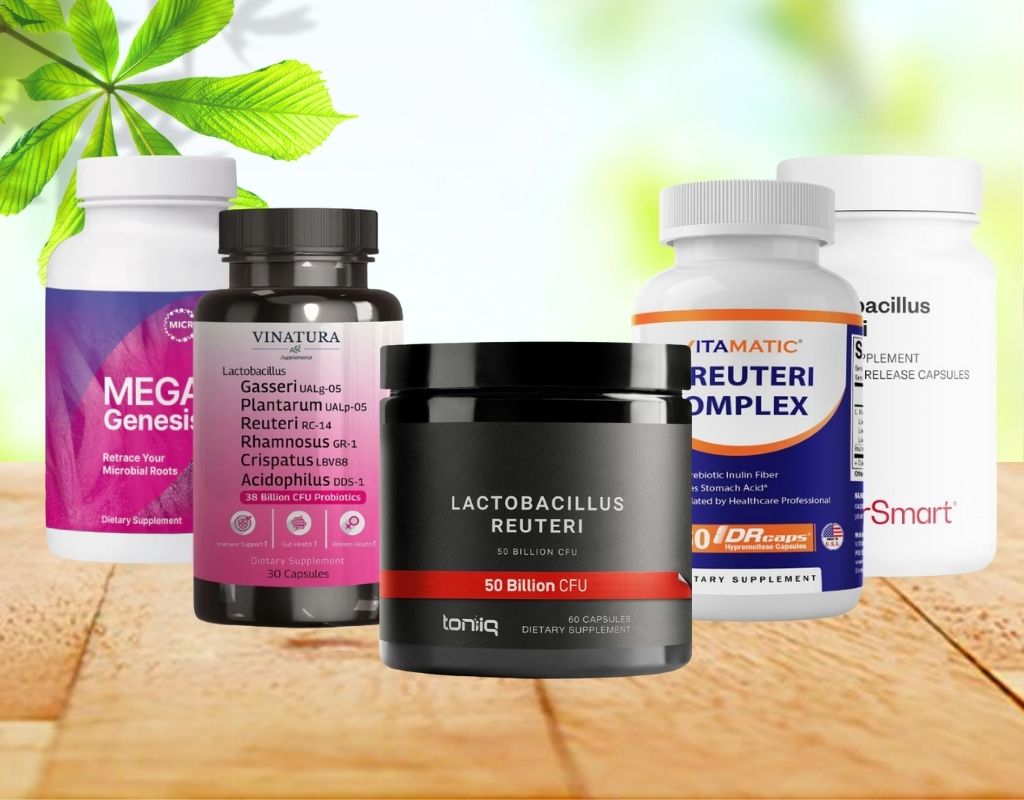 Best Reuteri Supplements