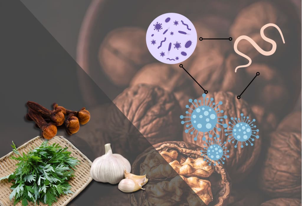 Best Supplements for Parasite Cleanse for Humans