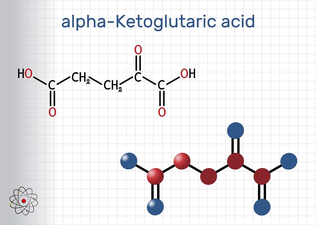 calcium akg benefits