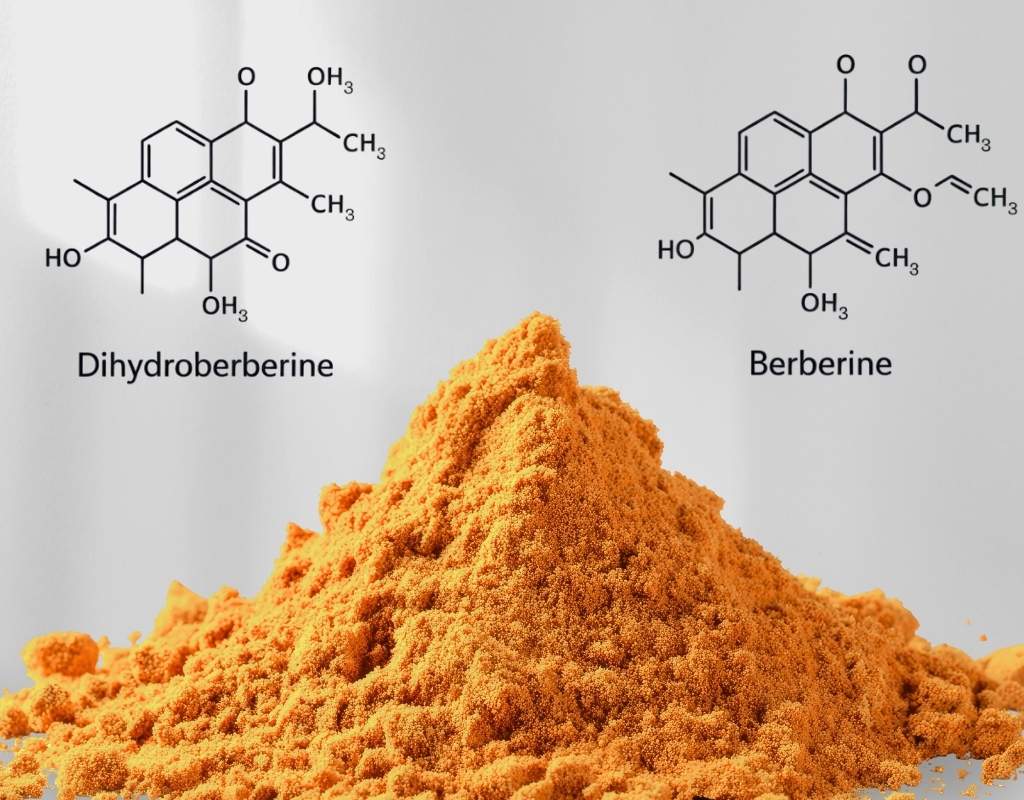 DihydroBerberine Vs Berberine