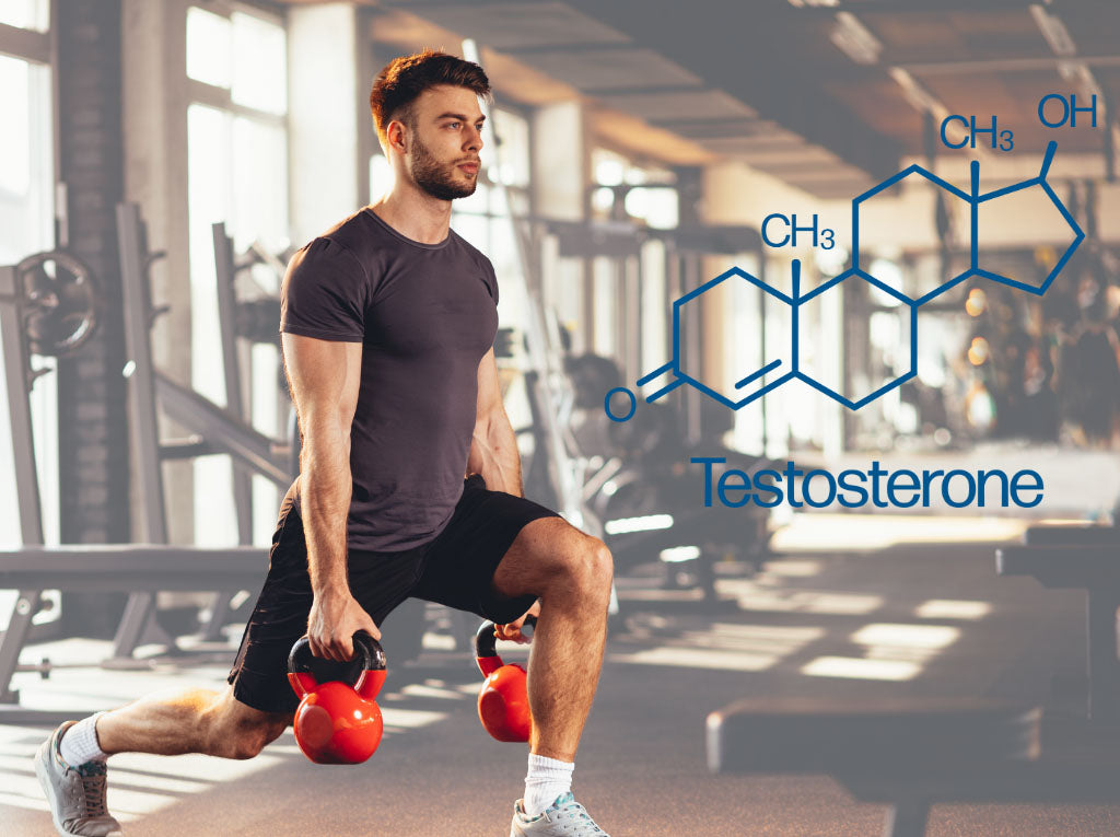 do leg workouts increase testosterone