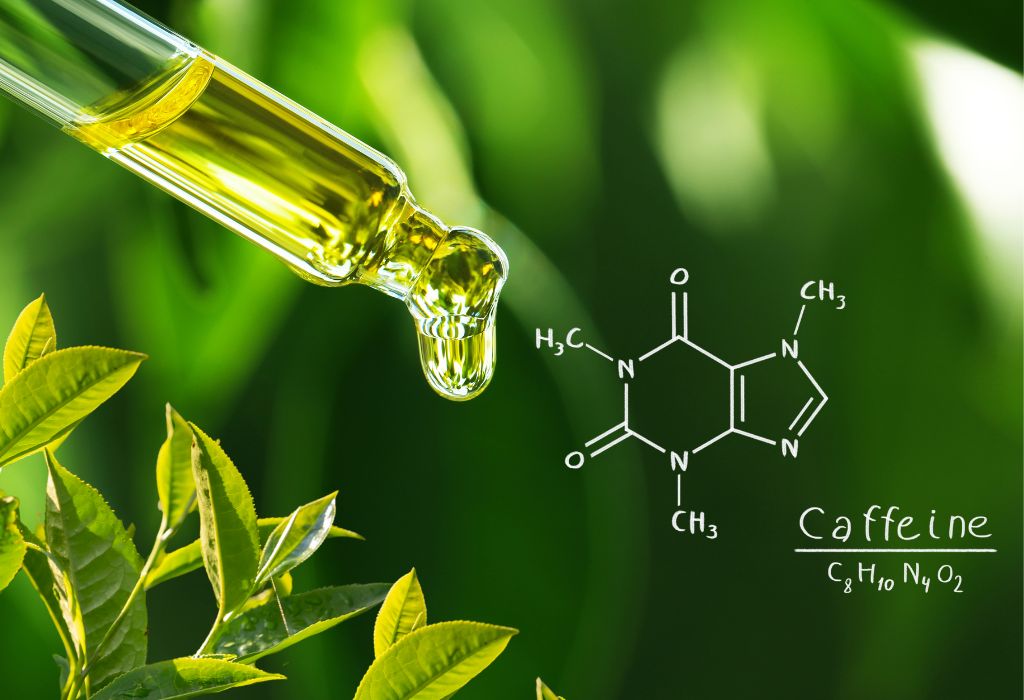 does green tea extract have caffeine