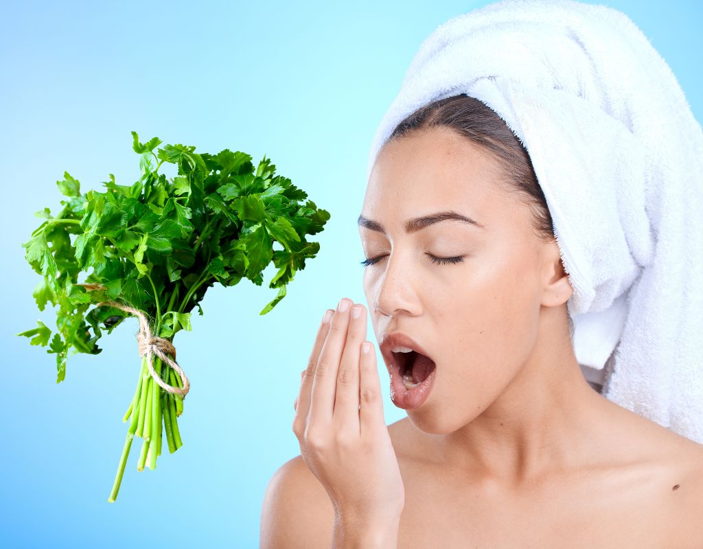 does parsley help with bad breath