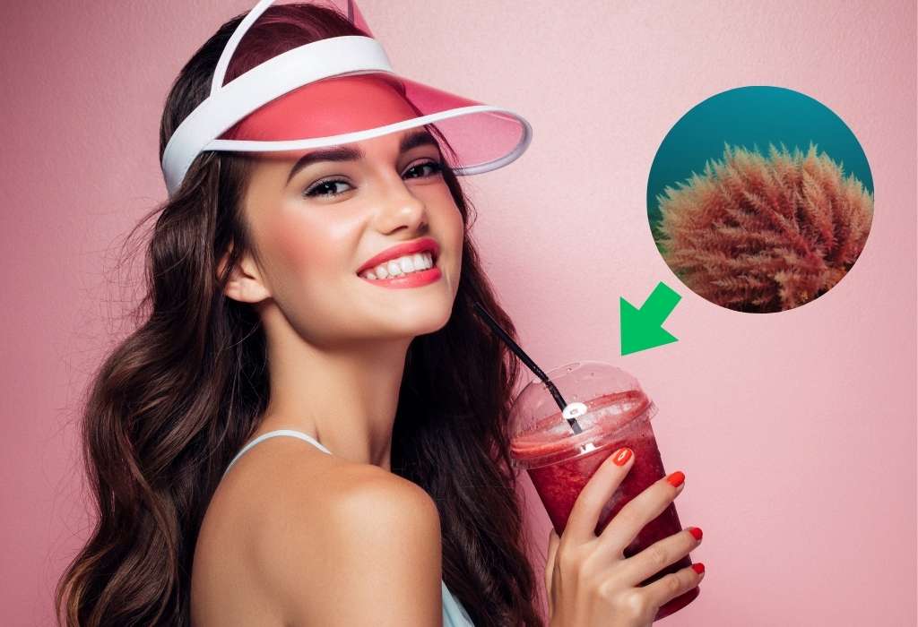 does sea moss detox your body