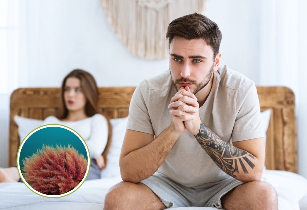 does sea moss increase libido