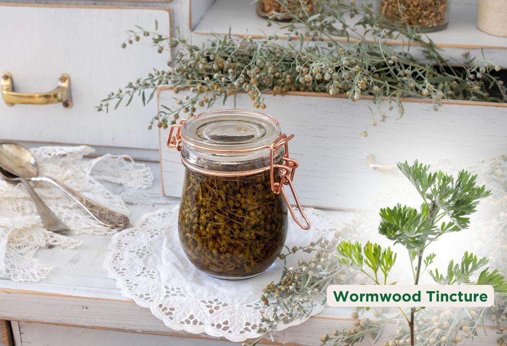 how to make wormwood tincture