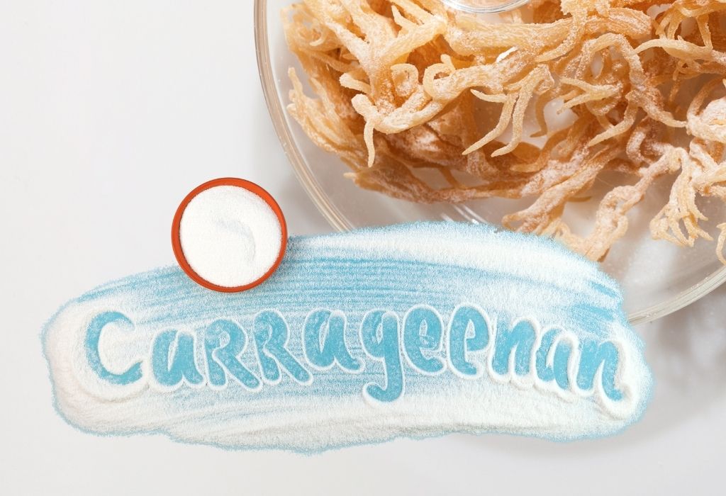 is carrageenan in sea moss bad for you