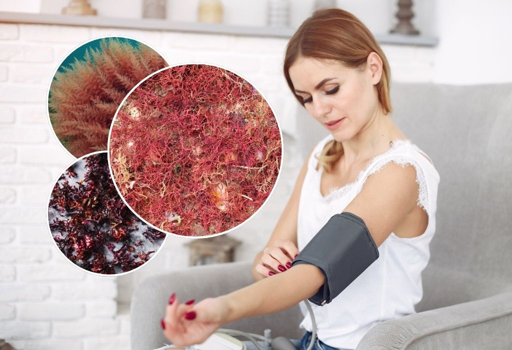 is sea moss good for high blood pressure