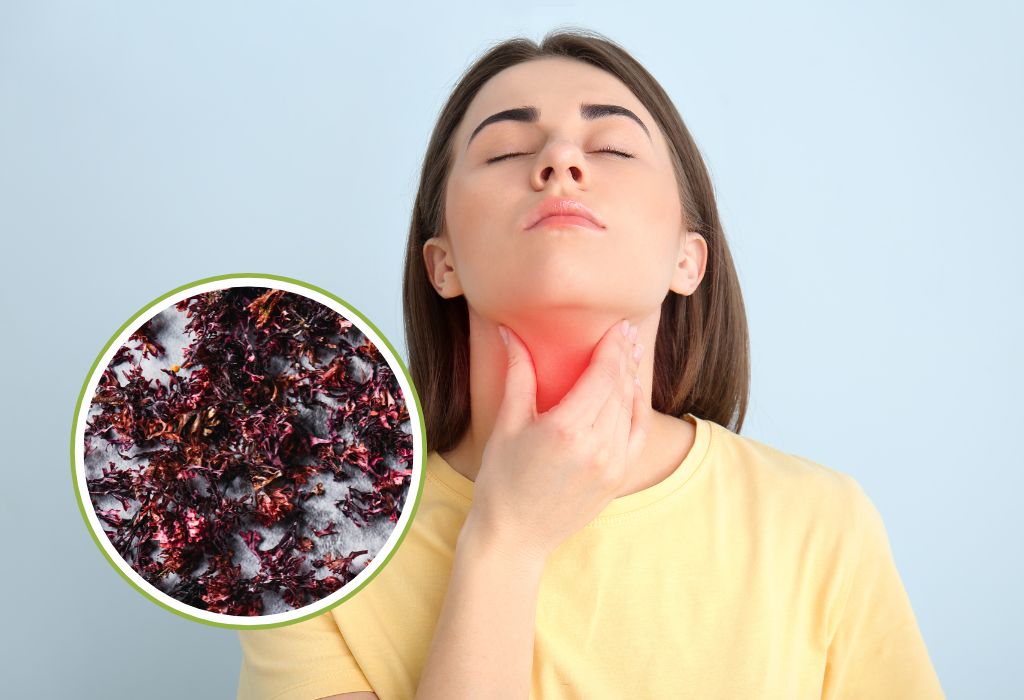 is sea moss good for thyroid