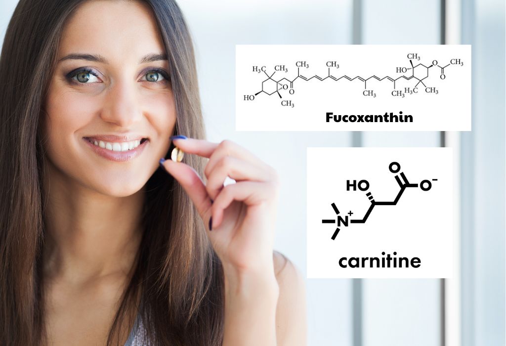 L-Carnitine vs Fucoxanthin: Benefits, Combo & Side Effects Vinatura Supplements L-Carnitine vs Fucoxanthin: Benefits, Combo & Side Effects Vinatura Supplements