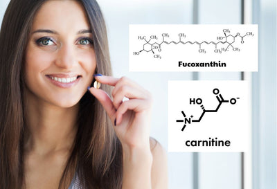 L-Carnitine vs Fucoxanthin