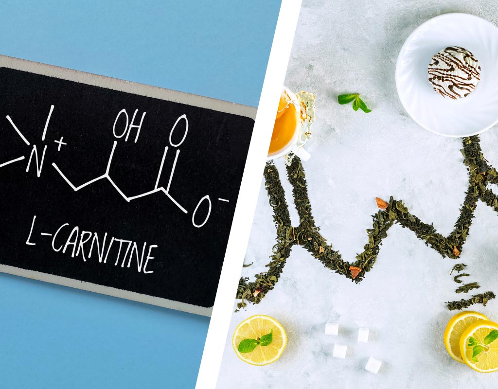 L-Theanine Vs L-Carnitine