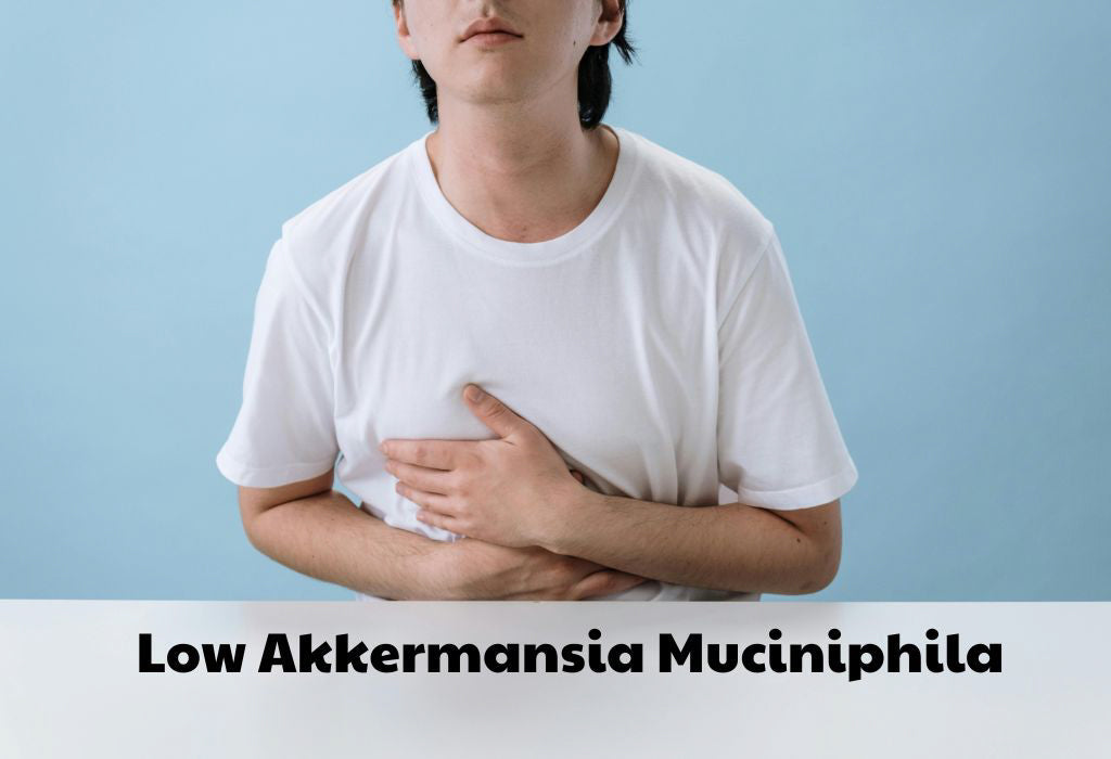 Low Akkermansia Muciniphila