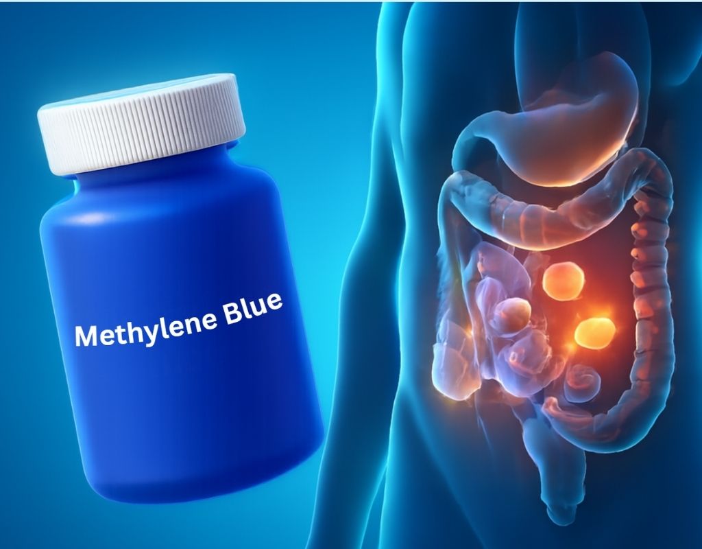 methylene blue gut health
