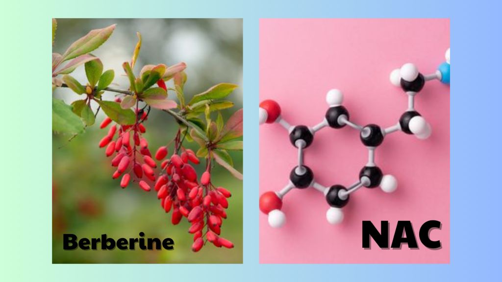 Can You Take NAC and Berberine Together?  Vinatura Supplements
