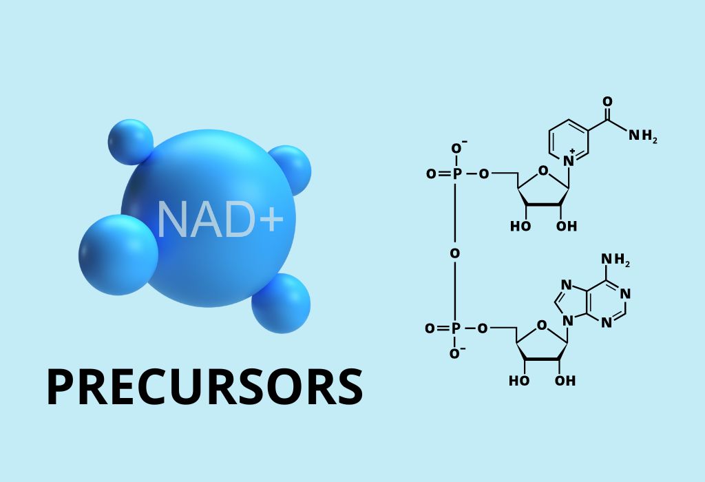 nad+ precursors supplement