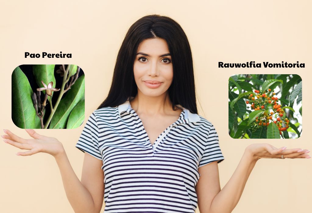 Pao Pereira Vs Rauwolfia Vomitoria