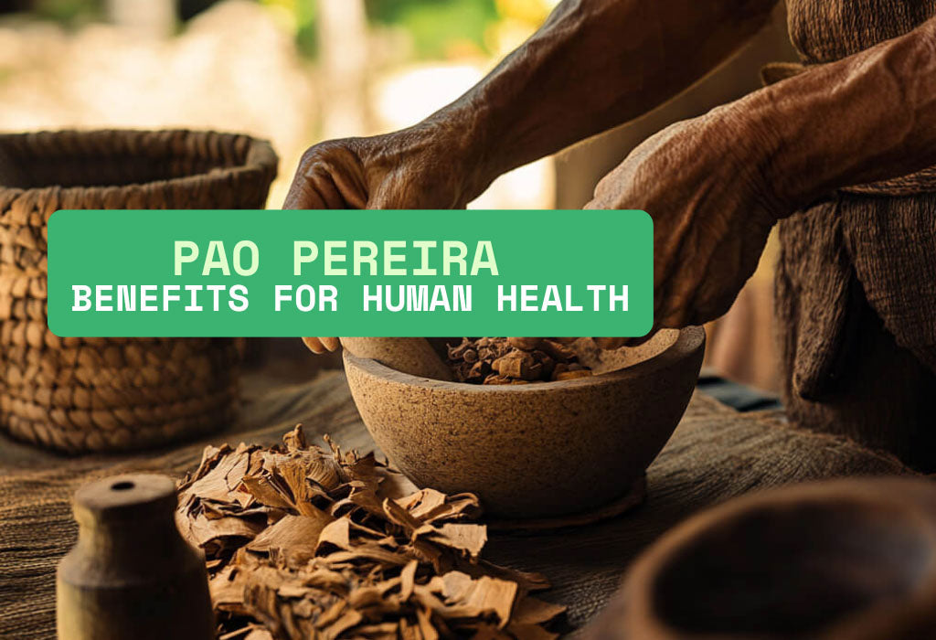 Pao Pereira Benefits