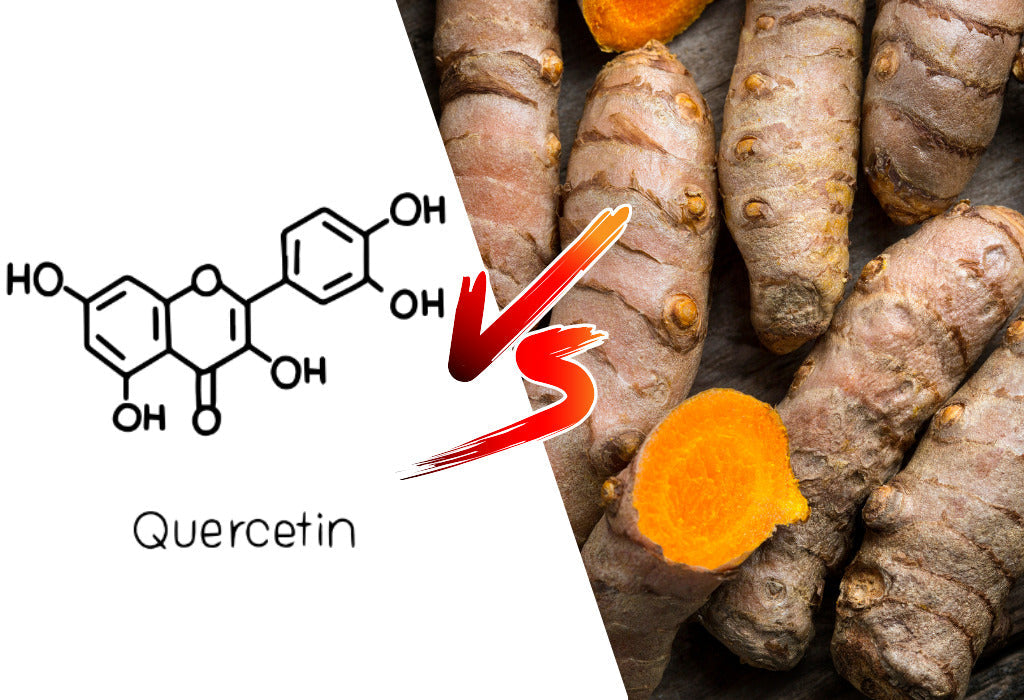 quercetin vs berberine