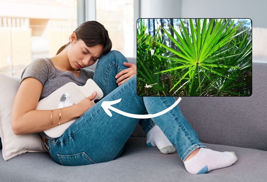 Saw Palmetto For PCOS