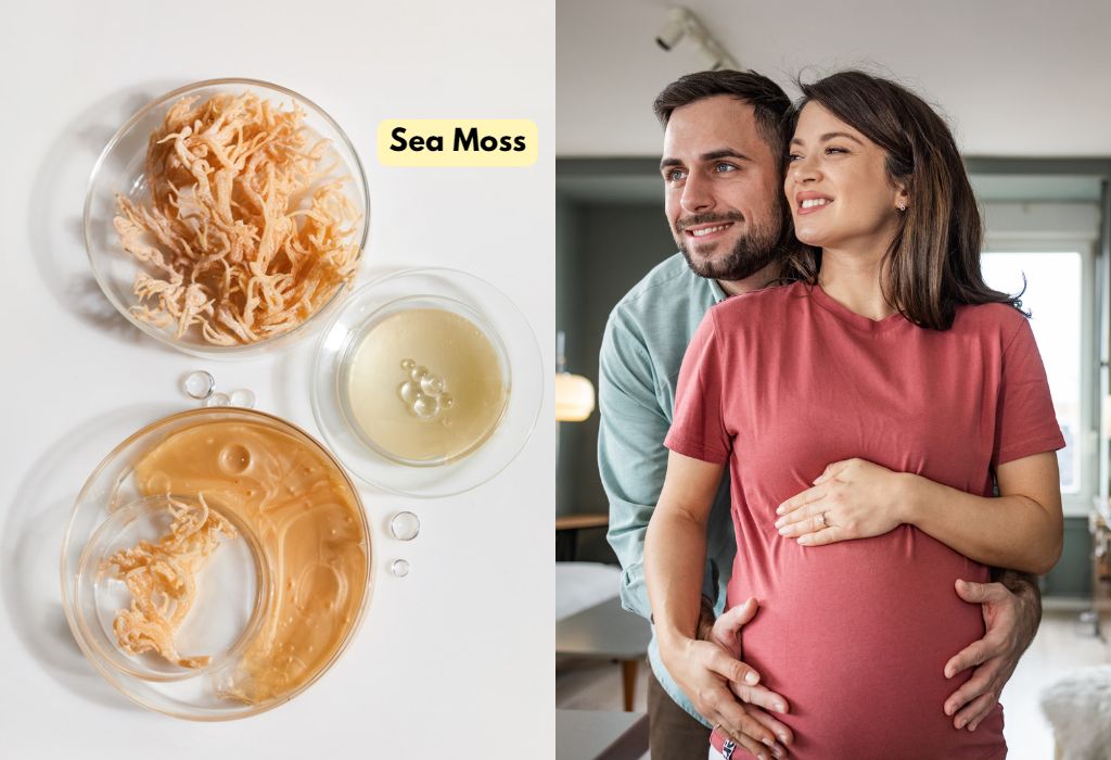 sea moss for fertility