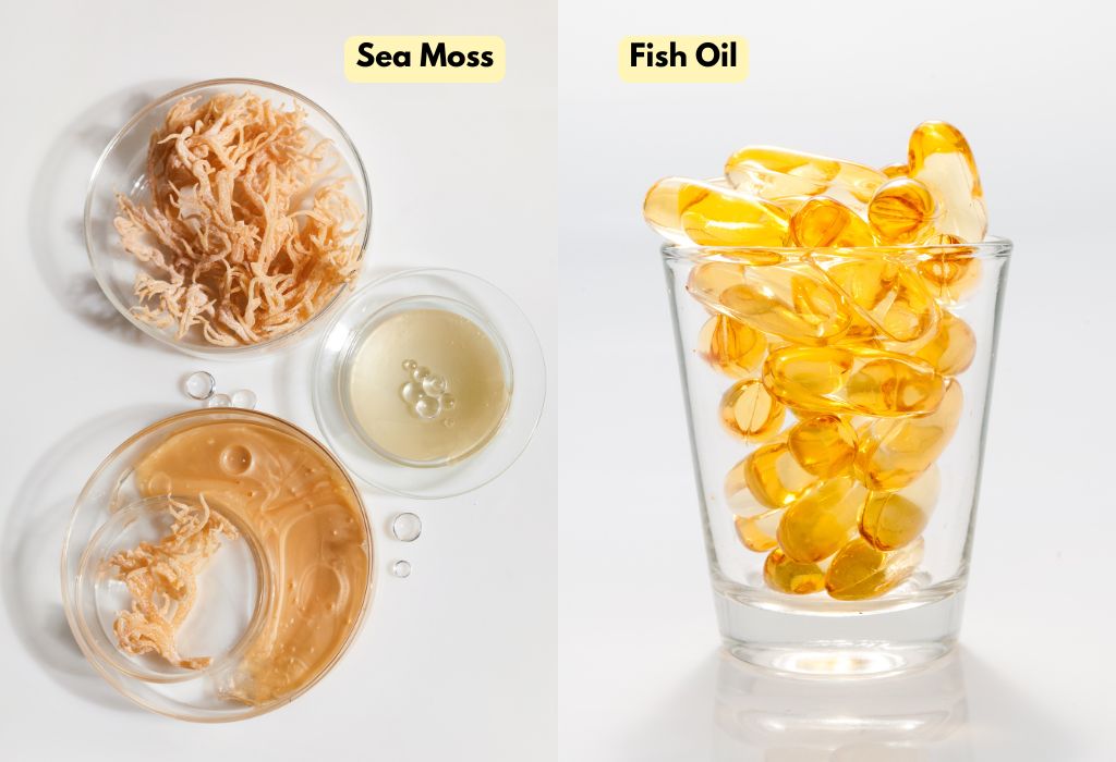 sea moss vs fish oil