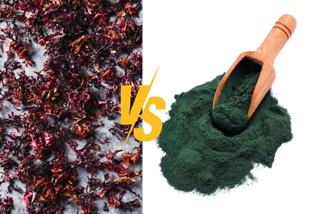 sea moss vs spirulina
