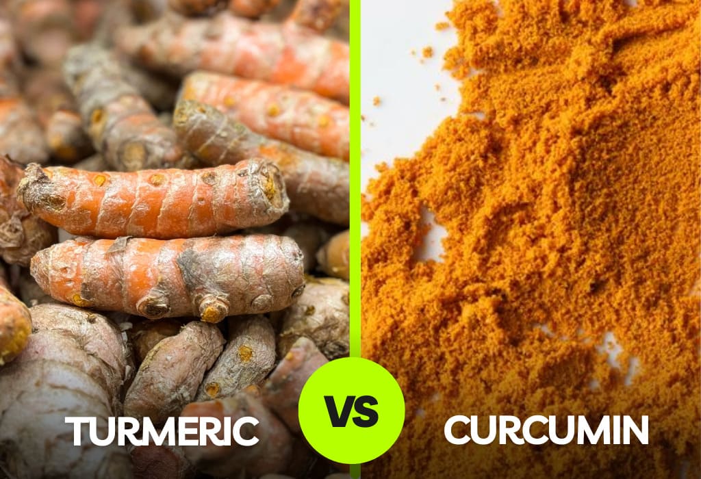 Turmeric Vs Curcumin