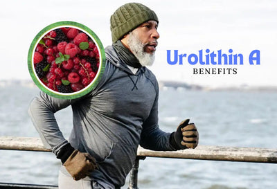 Urolithin A Benefits