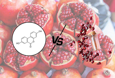 Urolithin A vs Pomegranate Extract