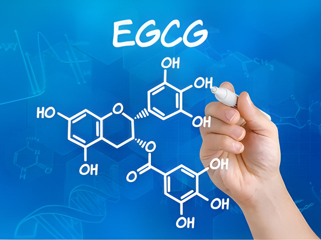 User Reviews about EGCG