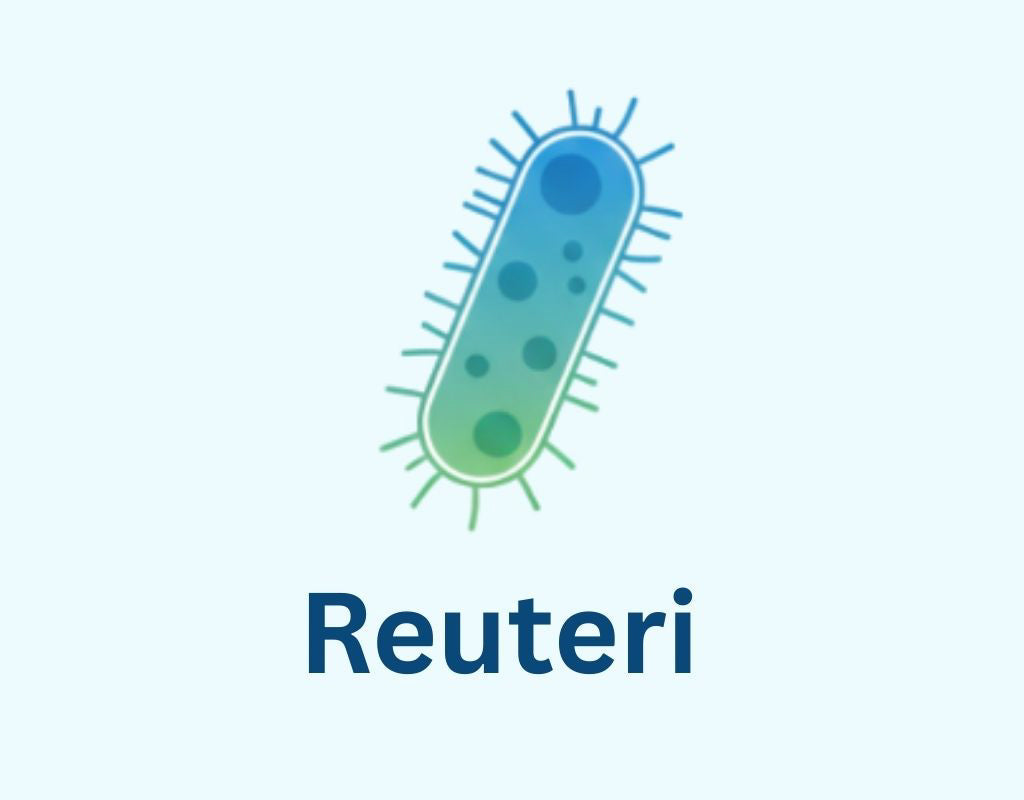 User Reviews About Reuteri