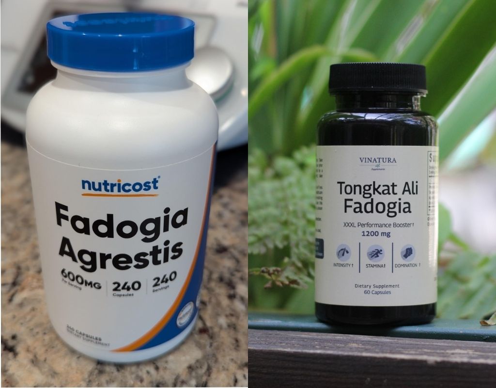 Side-by-side comparison of Nutricost Fadogia Agrestis and Vinatura Tongkat Ali Fadogia.
